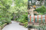 今日熱門文章：台北室內景點 | 台北典藏植物園(免門票) – 生態環境縮影植物溫室，育教於樂還能感受舒爽綠意!