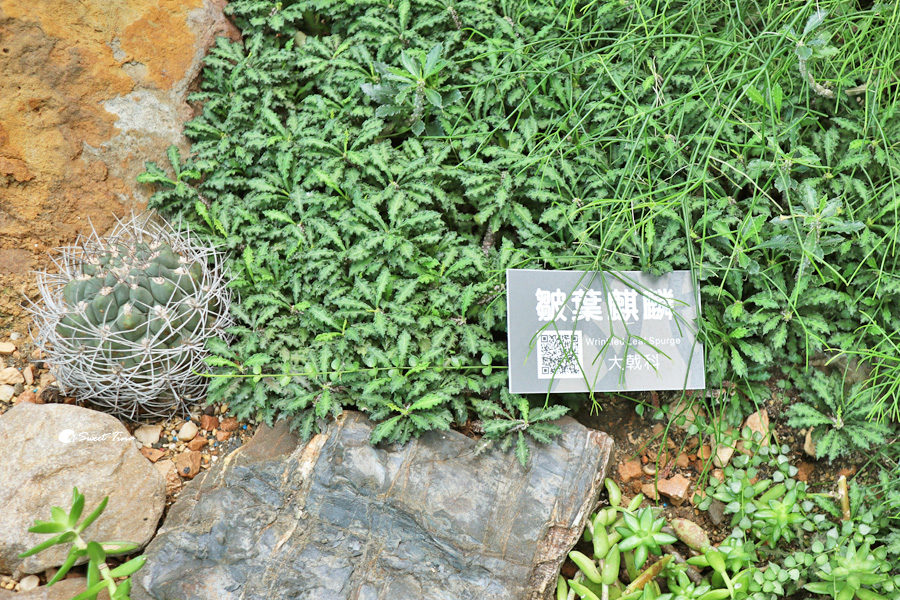 臺北典藏植物園