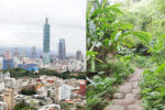 今日熱門文章：台北景點 | 富陽自然生態公園 – 最親近台北的森林步道，步行30分鐘即可飽覽台北101及城市景觀 / 串接福州山公園