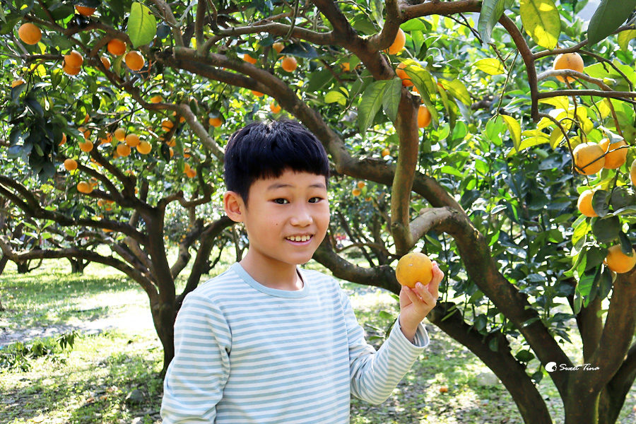 橘發香觀光果園