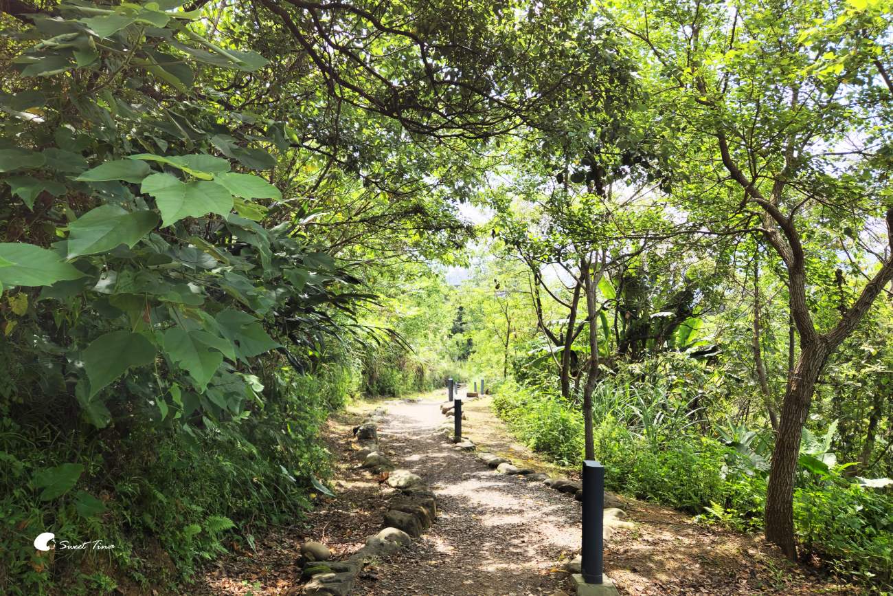 台北公園 | 文山森林公園 – 都市中的森林步道及攀岩探索