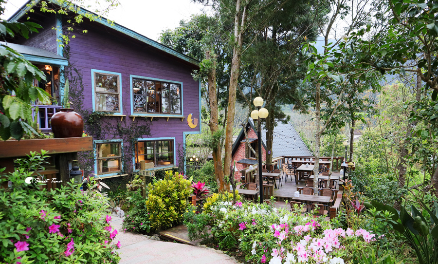苗栗咖啡廳 | 南庄橄欖樹咖啡民宿 – 森林童話般的氛圍，還有超萌店貓陪伴 / 南庄老街美食