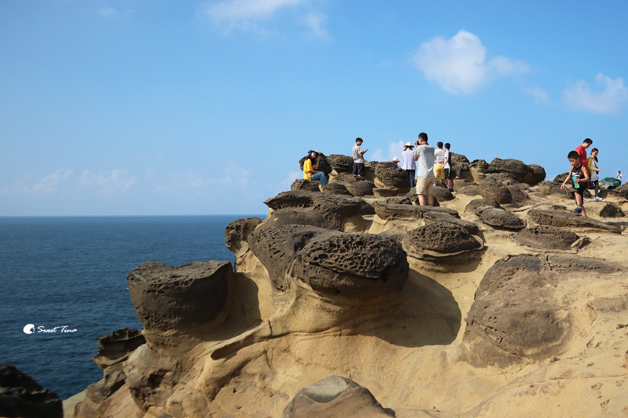 瑞芳景點 | 酋長岩．象鼻岩 – 天然海蝕礁岩，位於深澳漁港內