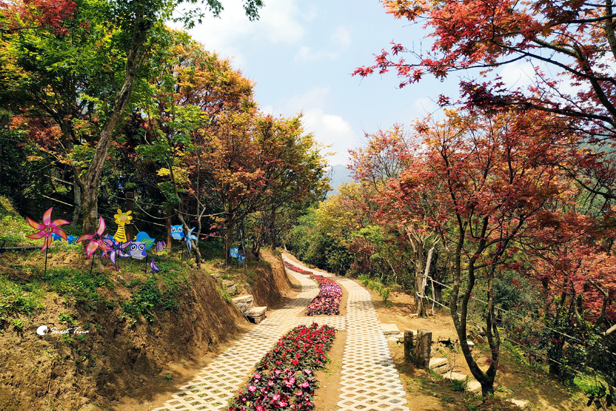 台北景點 | 台北奧萬大樂活莊園 –  春天也能欣賞美麗的楓紅 / 適合親子共遊的蔬食庭園咖啡廳