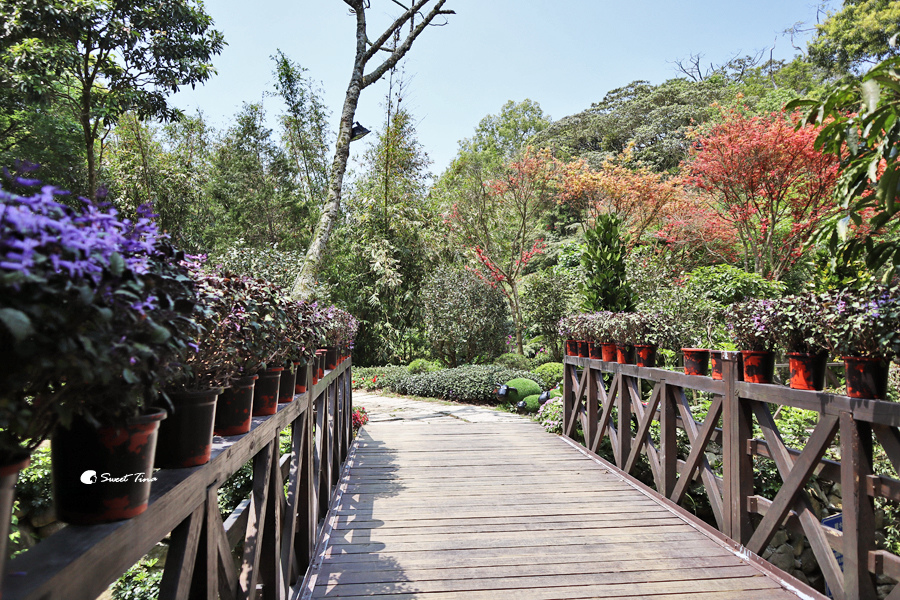 台北景點 | 台北奧萬大樂活莊園 –  春天也能欣賞美麗的楓紅 / 適合親子共遊的蔬食庭園咖啡廳