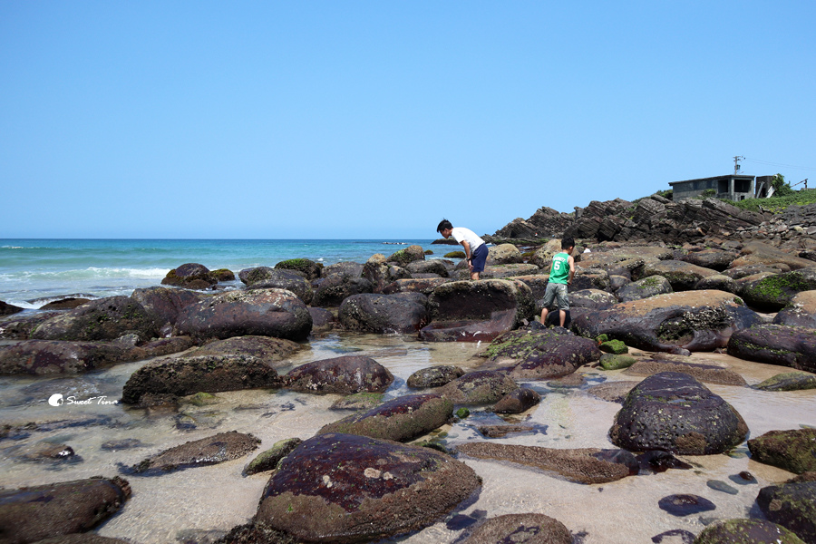 貢寮景點 | 金沙灣海濱公園 – 東北角親子玩水、玩沙、觀察生態推薦 / 免費親子景點