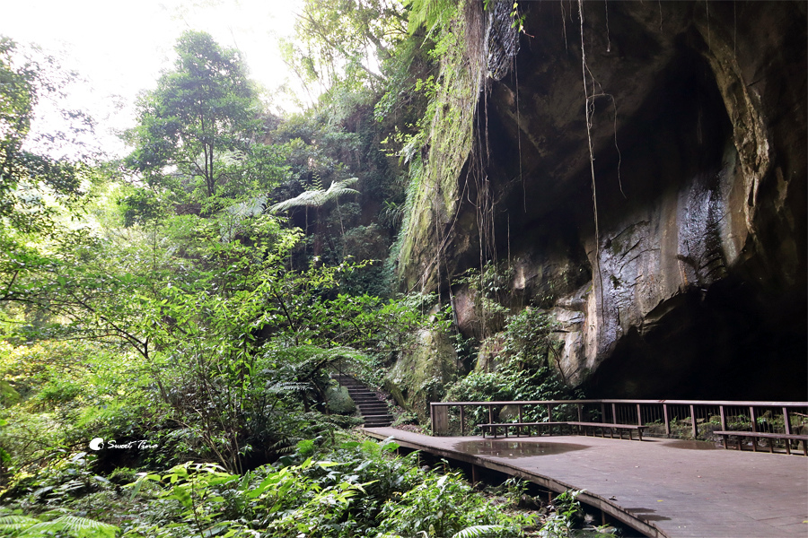 桃園景點 | 三民蝙蝠洞 – 天然水濂洞景觀 / 輕鬆步行即可到達，幸運還能看見蝙蝠