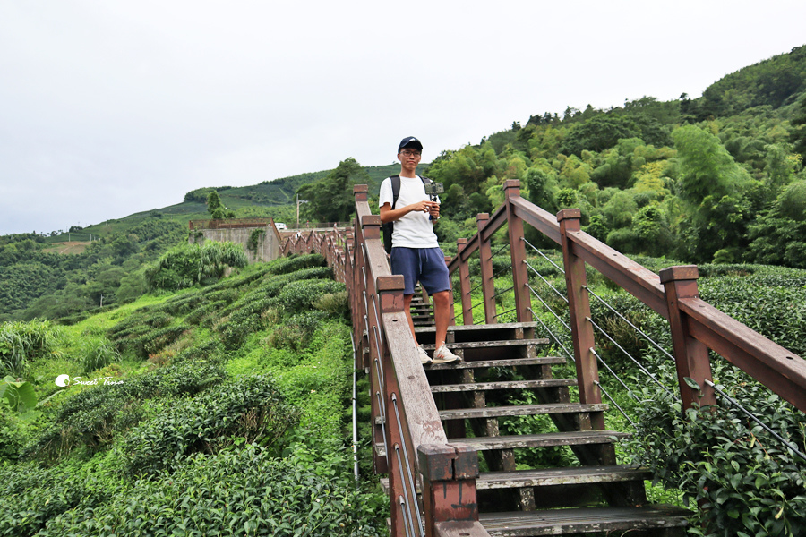 【嘉義景點】梅山太興岩步道 – 輕鬆步行即可賞景／站在視野遼闊的觀景台好忘憂／泰興巖