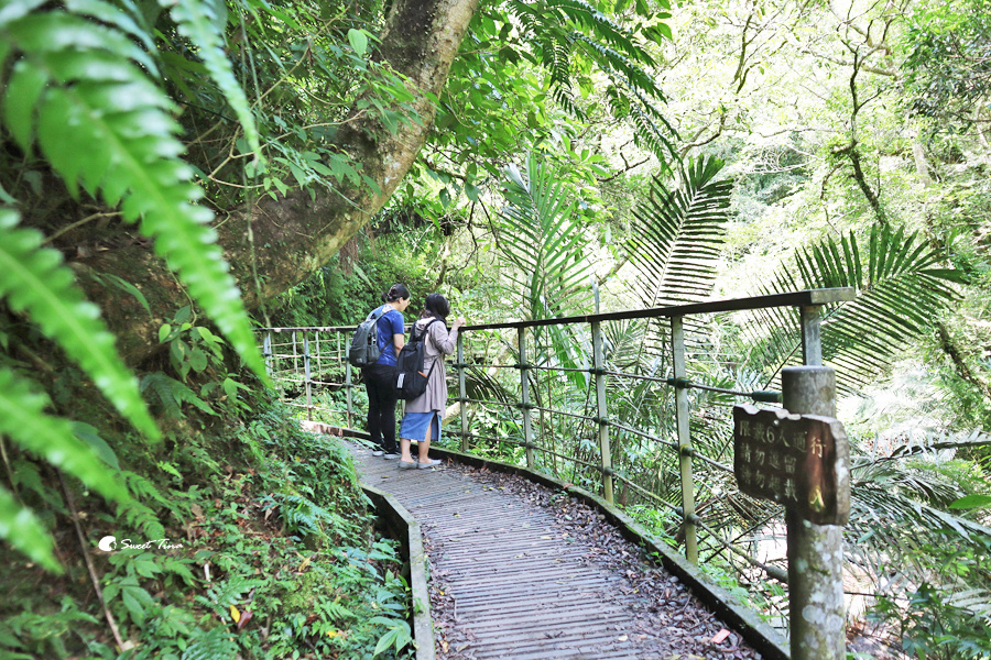 礁溪景點 | 林美石磐步道 – 絕美溪谷步道 / 輕鬆步行即可賞景 / 宜蘭親子步道