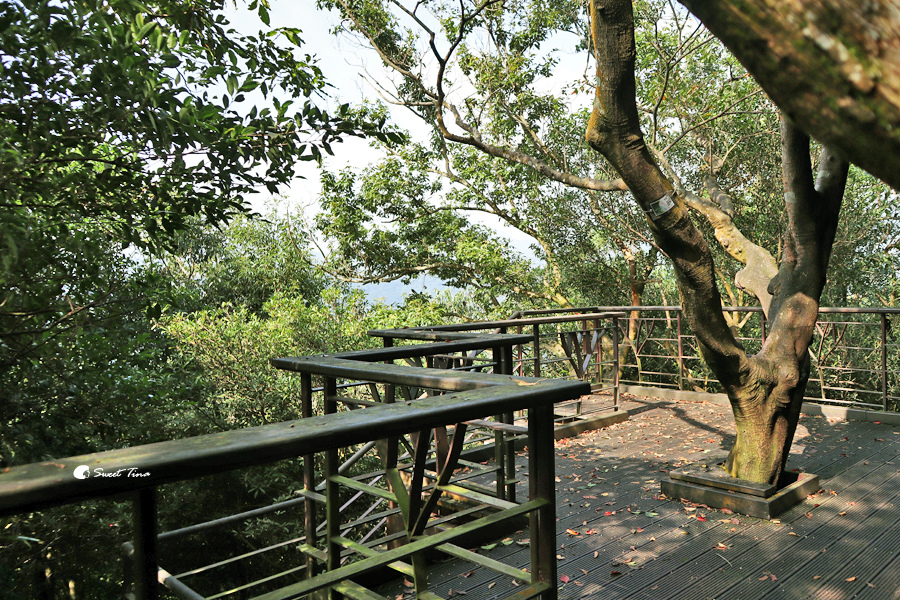 台北步道 | 小溪頭環狀步道 – 台北森林秘境 / 串連大崙頭森林步道、自然步道、碧溪步道 / 親子景點