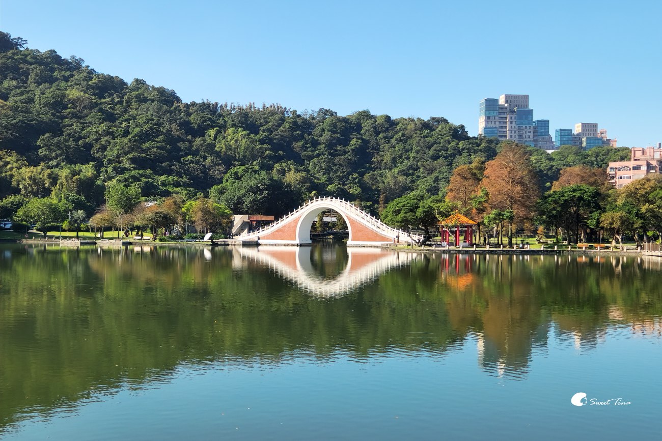 台北景點 | 大湖公園落羽松 – 愜意的落羽松湖景,搭捷運就可到達!