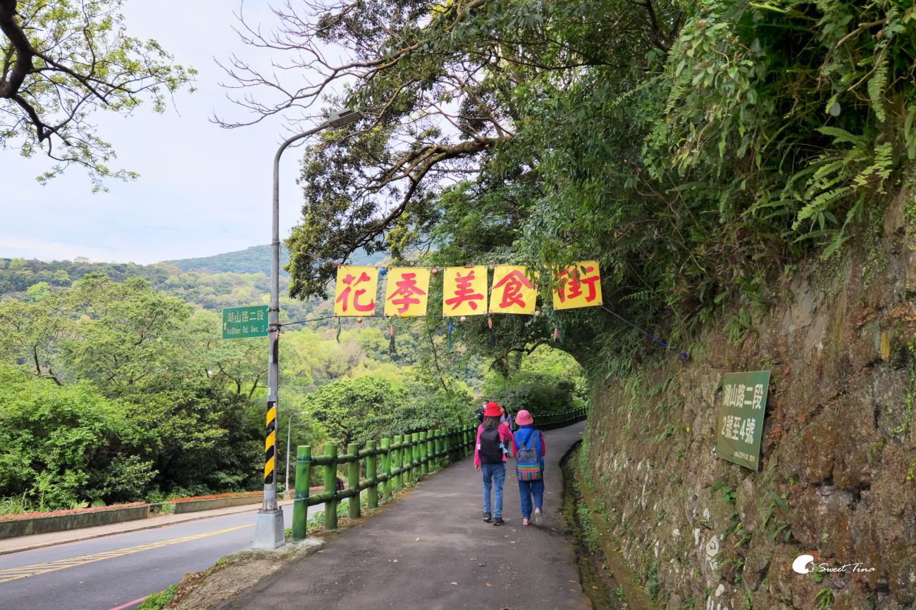 台北景點 | 陽明山花鐘 – 吉野櫻與杜鵑花美不勝收
