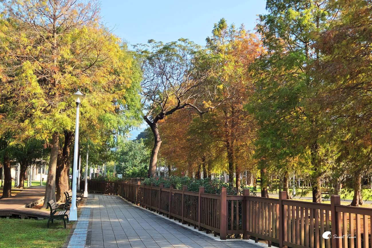 台北景點 | 士林官邸公園落羽松 – 除了賞花，還有浪漫的落羽松美景