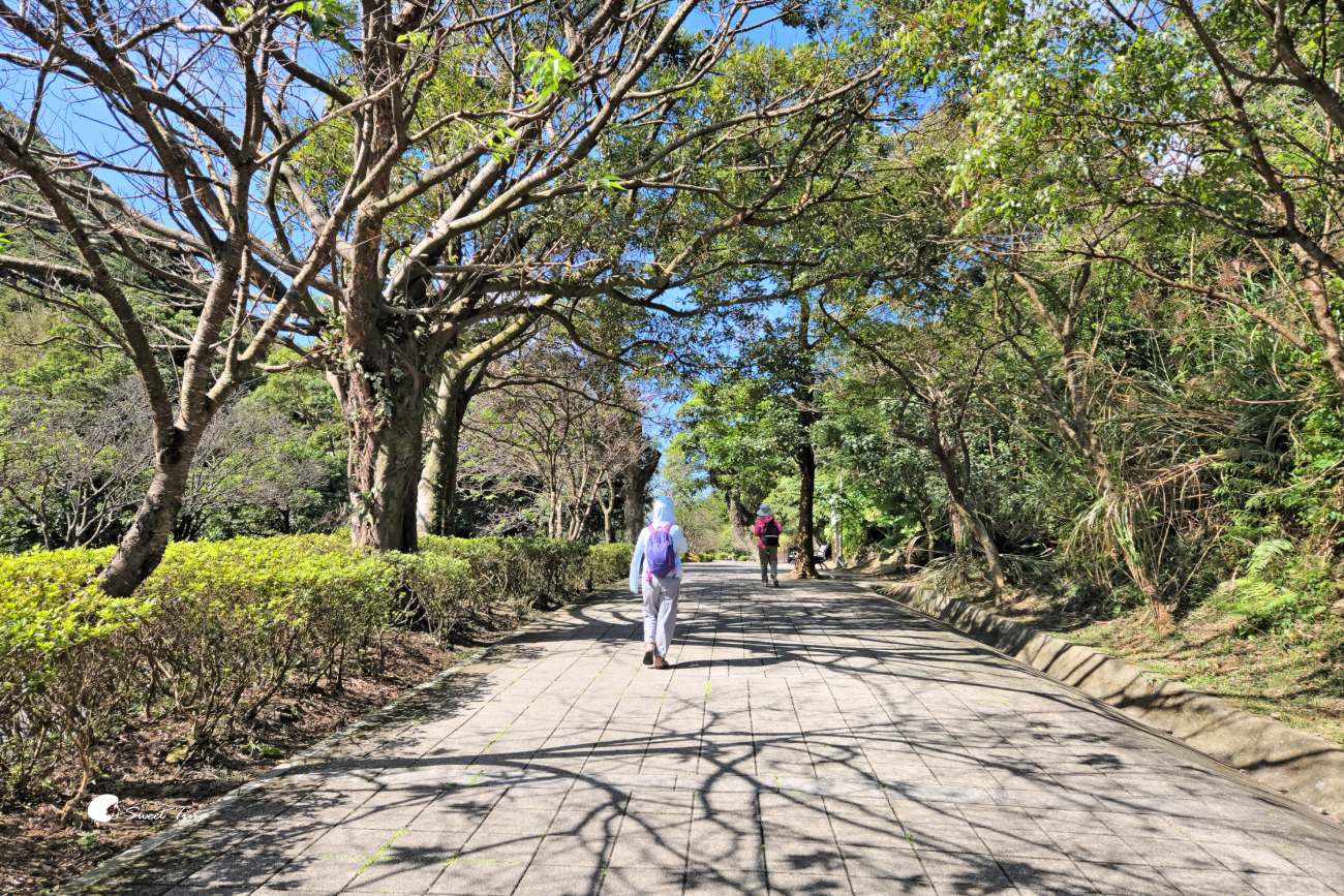 台北親子景點 | 陽明山國家公園遊客中心 – 寓教於樂，還能享受森林美景