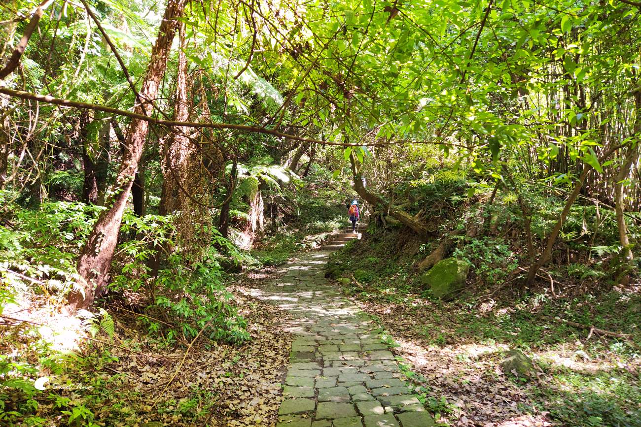 台北親子景點 | 陽明山國家公園遊客中心 – 寓教於樂，還能享受森林美景
